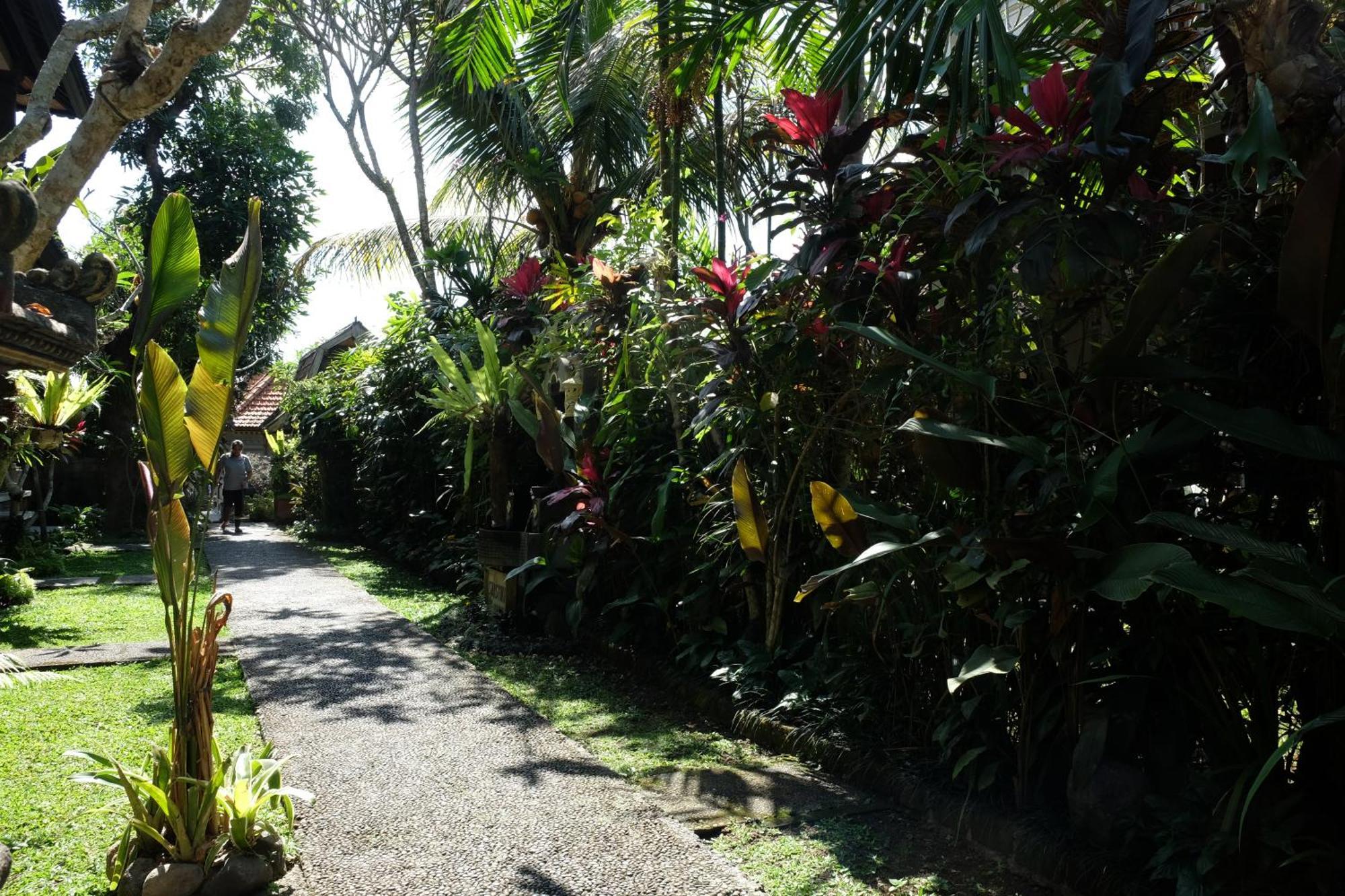 Suastika Guest House Ubud エクステリア 写真