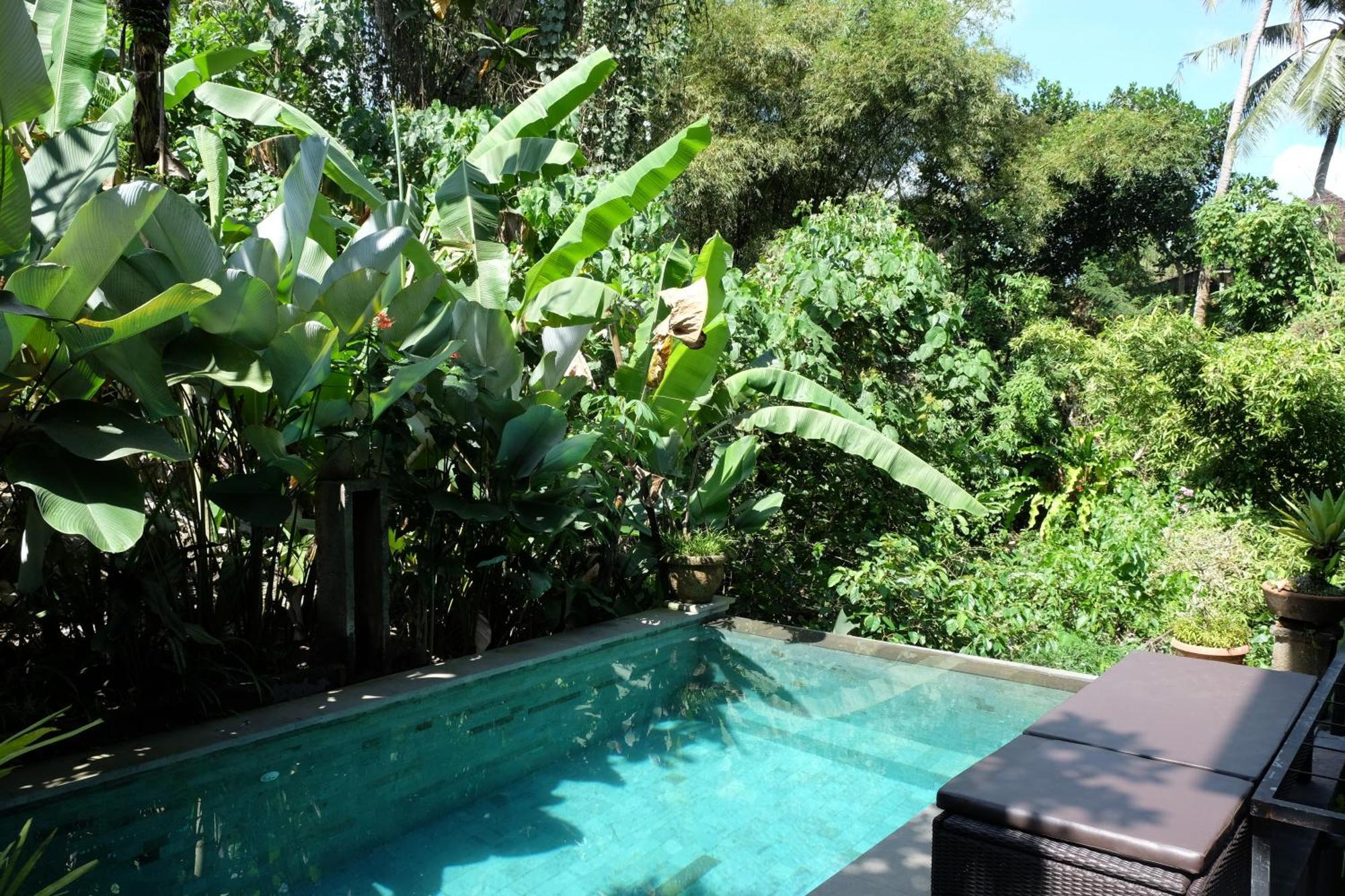 Suastika Guest House Ubud エクステリア 写真