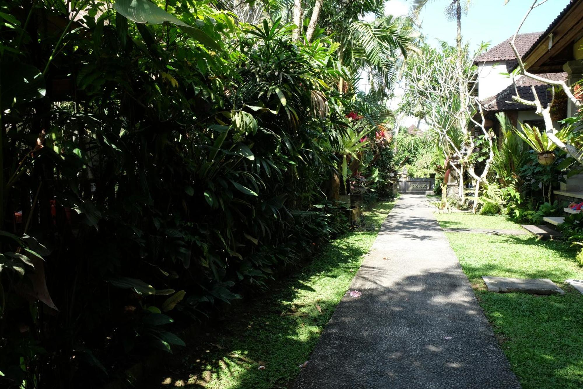 Suastika Guest House Ubud エクステリア 写真